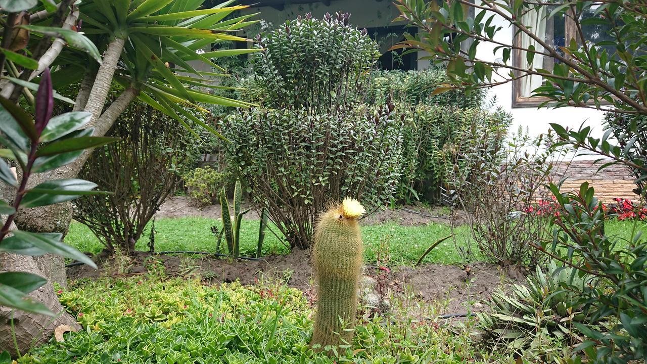 Villa Mimi Otavalo Eksteriør bilde