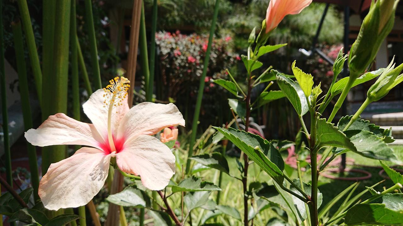 Villa Mimi Otavalo Eksteriør bilde